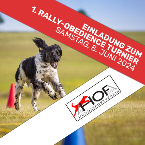 Hun­de­sport­ver­ein-Hof_­Ral­ly-O-2024-Teaser